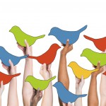 Social Networking Concept Birds